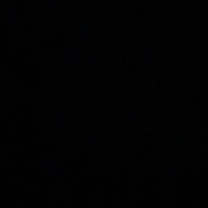 Meet your Posher, Maddie